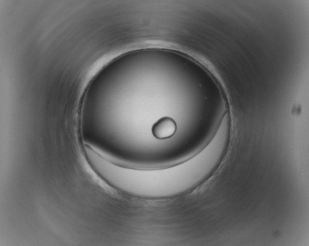 X0000113231381200909241513