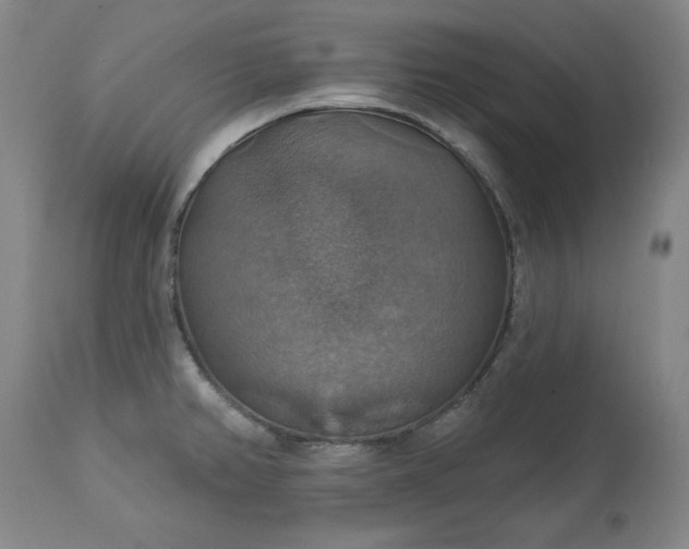 X0000113231382200909241513