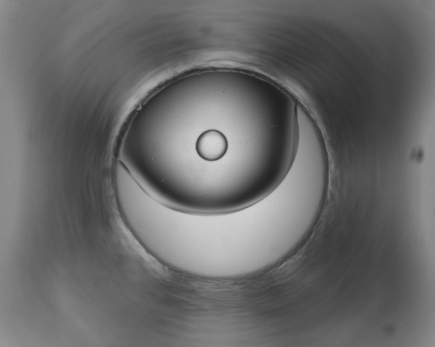 X0000113231384200909241513