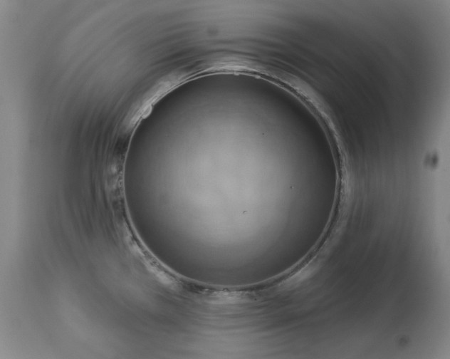 X0000113231385200909241513