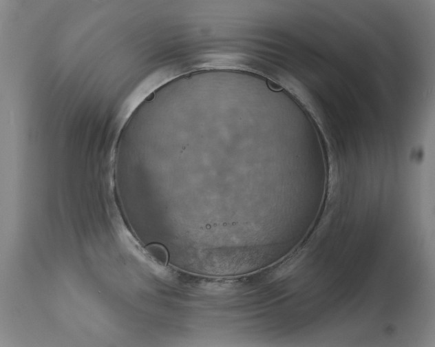 X0000113231386200909241513