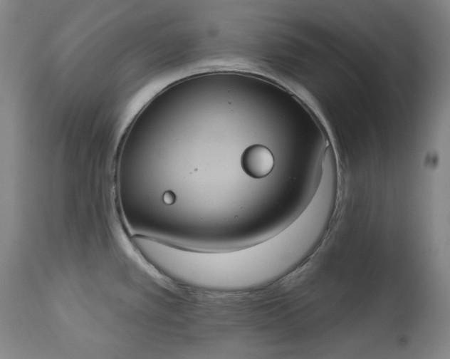 X0000113231389200909241512