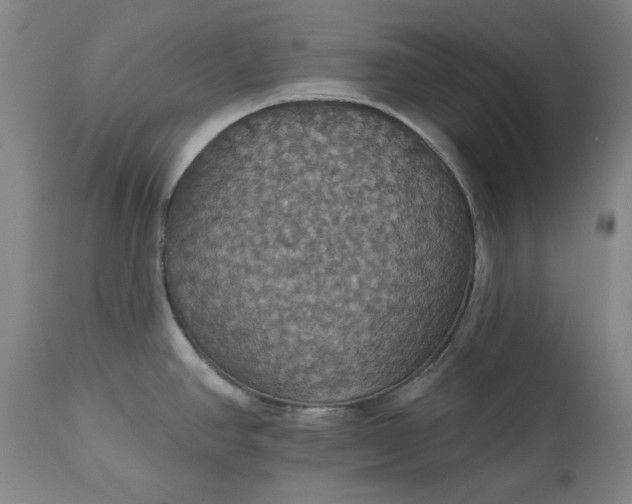 X0000113231390200909241512