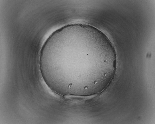 X0000113231392200909241512