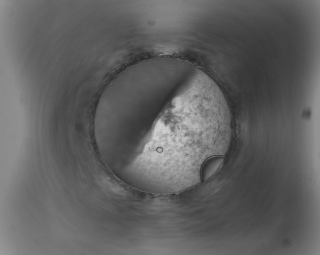 X0000113231393200909241512