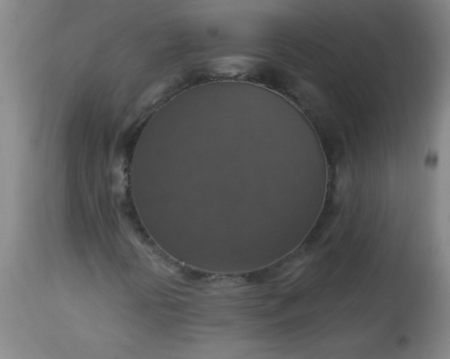 X0000113231394200909241512