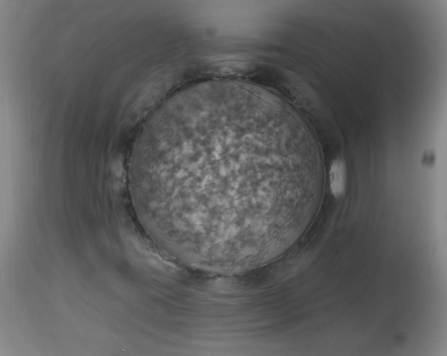 X0000113231395200909241512