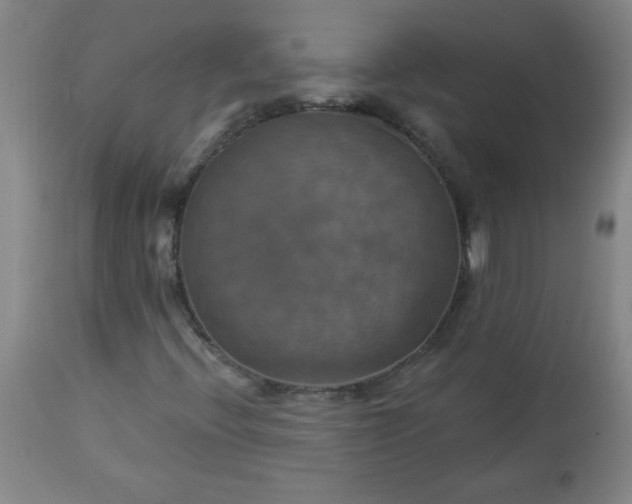 X0000113231396200909241512