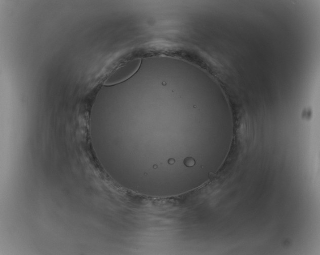 X0000113231397200909241512