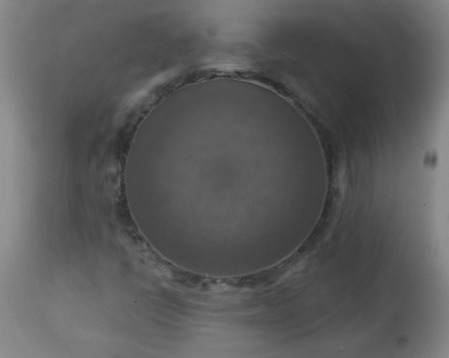 X0000113231398200909241512