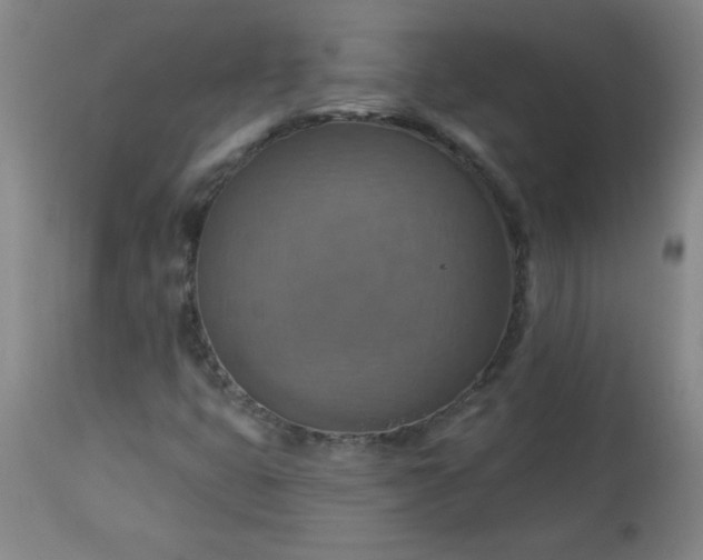 X0000113231399200909241512