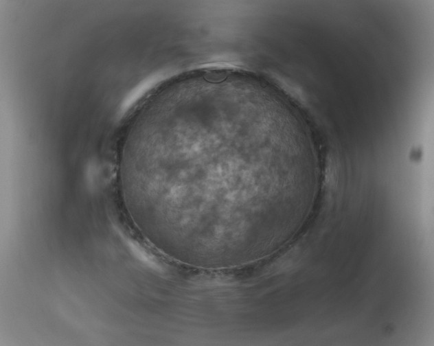 X0000113231400200909241512