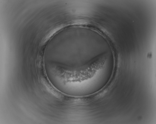 X0000113231401200909241512