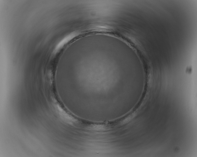 X0000113231402200909241512