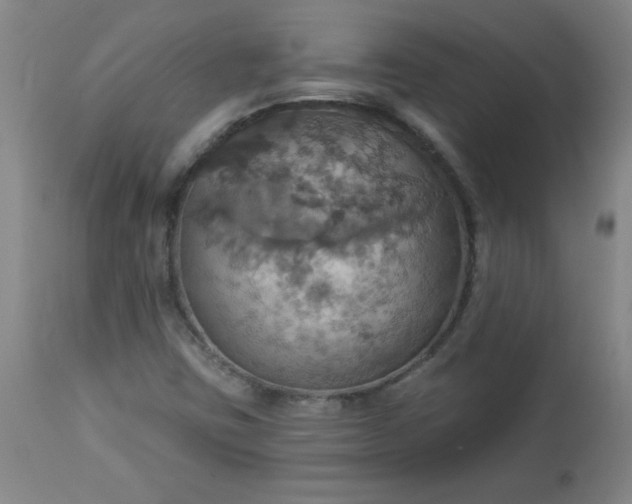 X0000113231403200909241512