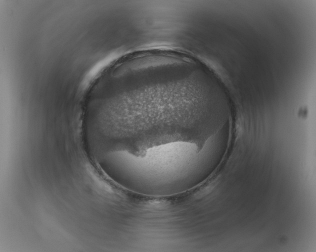 X0000113231406200909241512