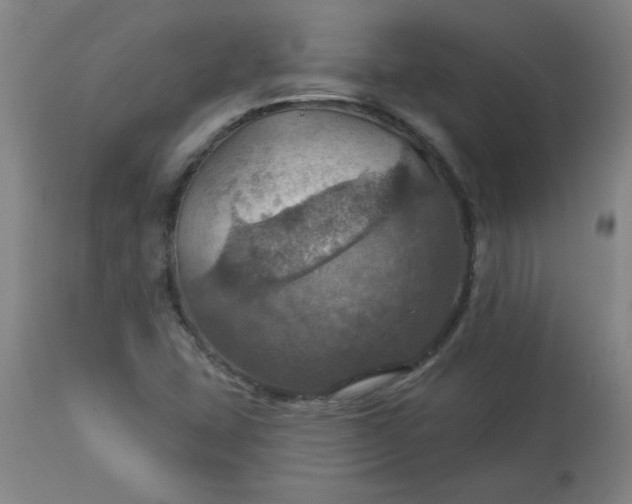 X0000113231407200909241512