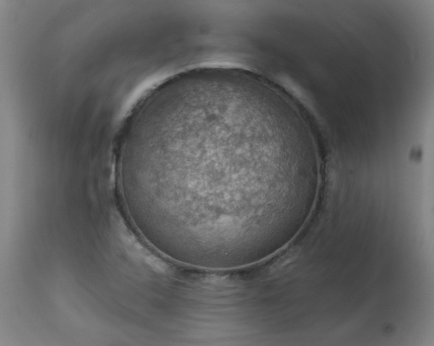 X0000113231408200909241512