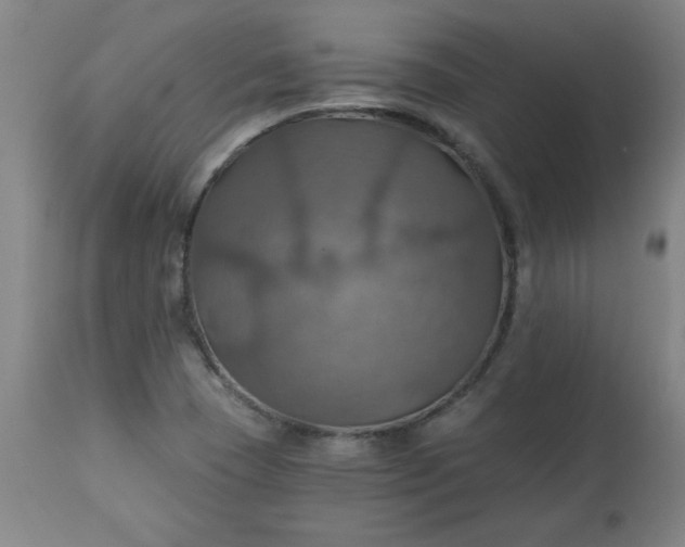 X0000113231409200909241512