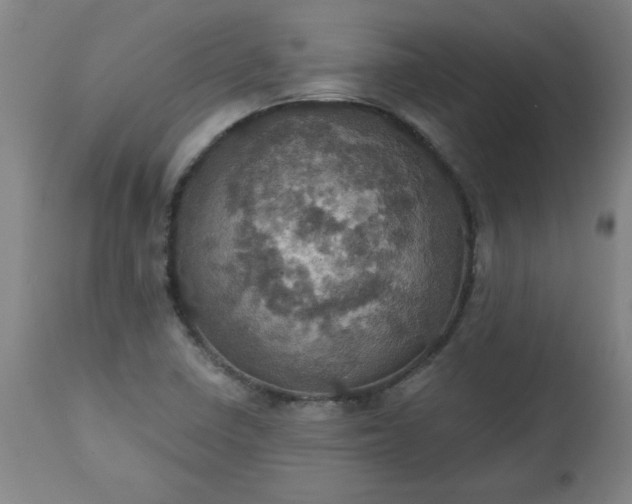 X0000113231410200909241512