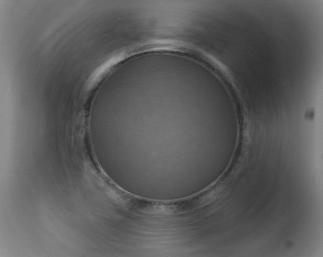 X0000113231411200909241512