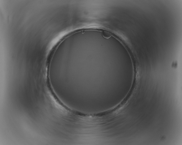 X0000113231414200909241512