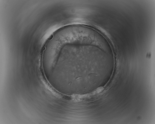 X0000113231415200909241512