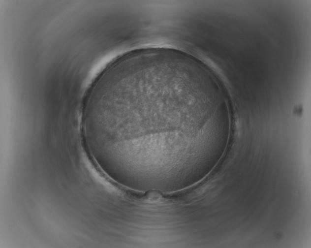 X0000113231416200909241512