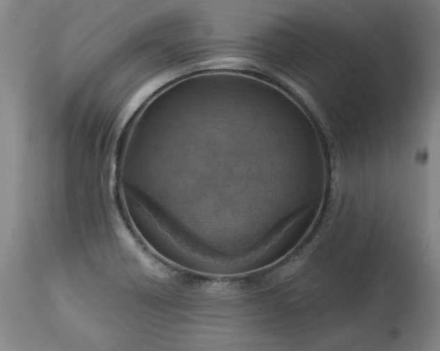 X0000113231418200909241512