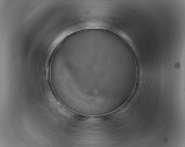 X0000113231419200909241512