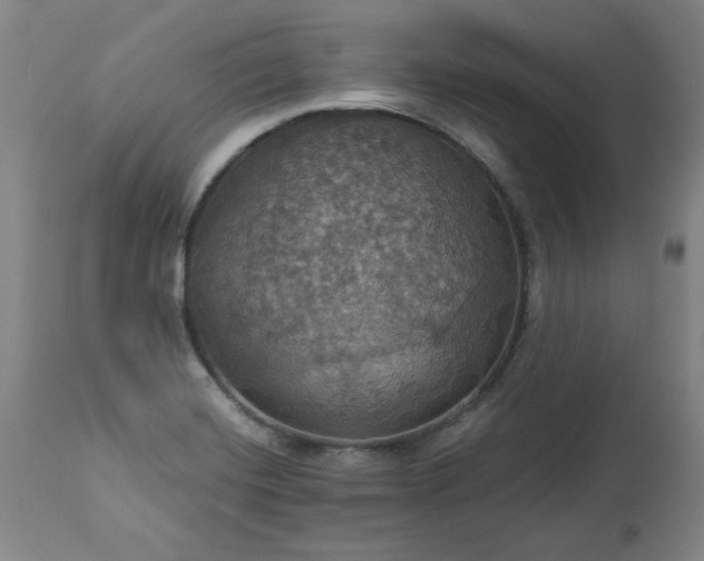 X0000113231420200909241512