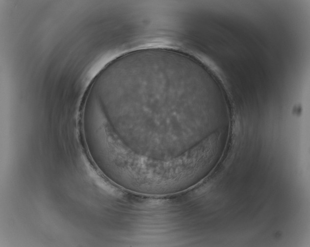 X0000113231423200909241512