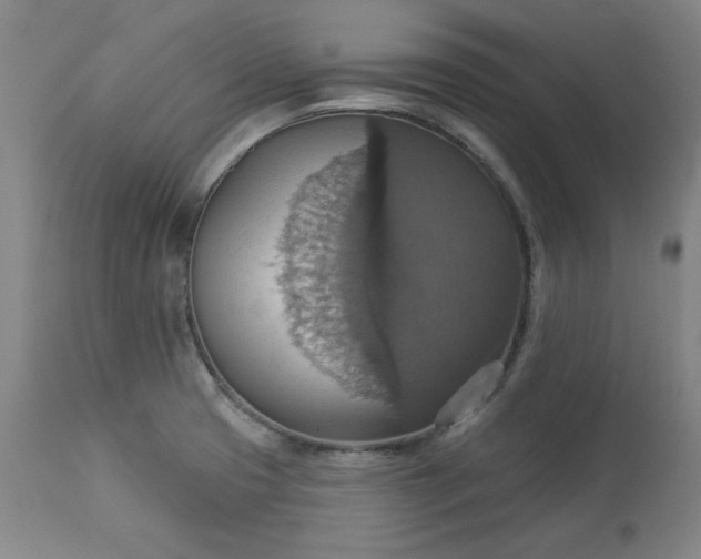 X0000113231425200909241512