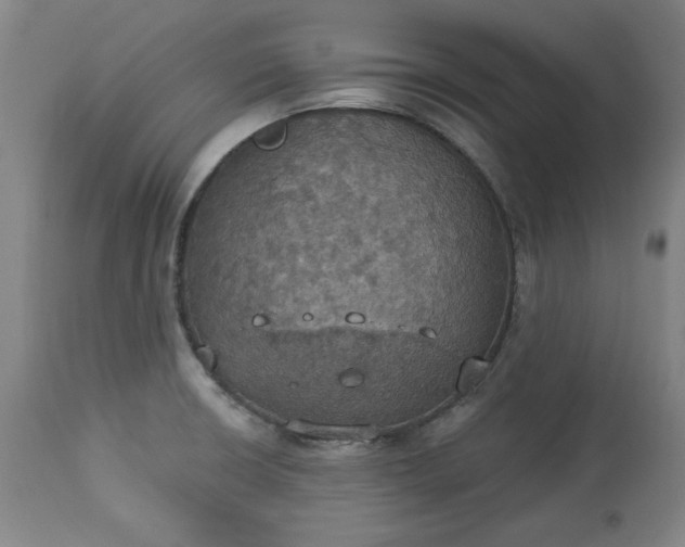 X0000113231426200909241512