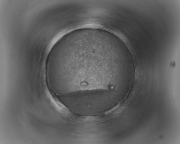 X0000113231430200909241512