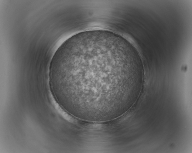 X0000113231431200909241512