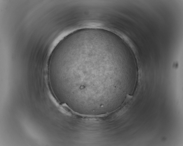 X0000113231432200909241512