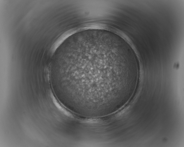 X0000113231433200909241512