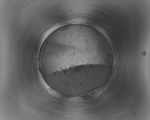 X0000113231434200909241512