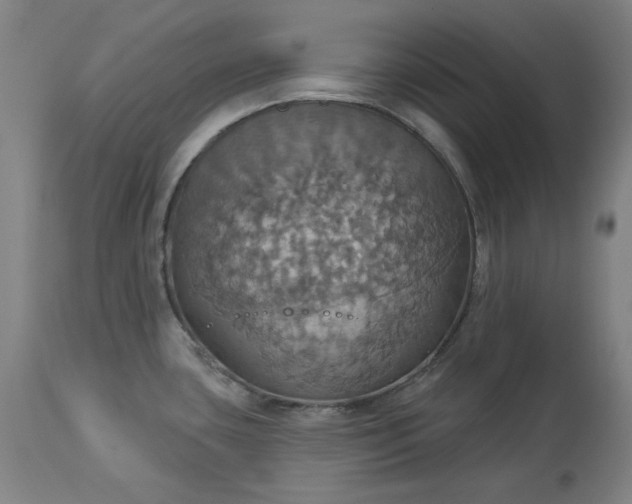 X0000113231435200909241512