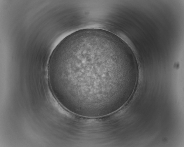 X0000113231436200909241512