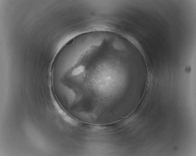 X0000113231439200909241512