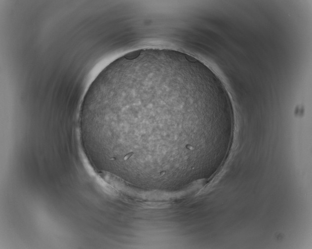 X0000113231440200909241512