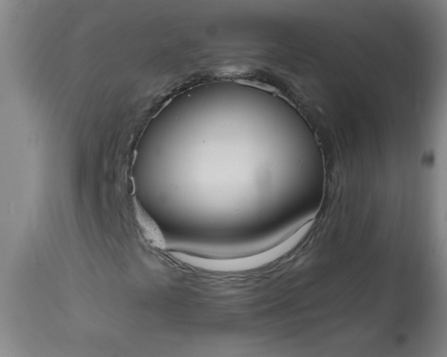 X0000113231441200909241512