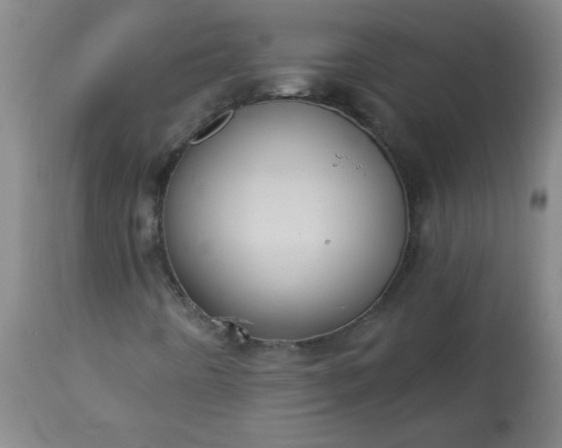 X0000113231442200909241512