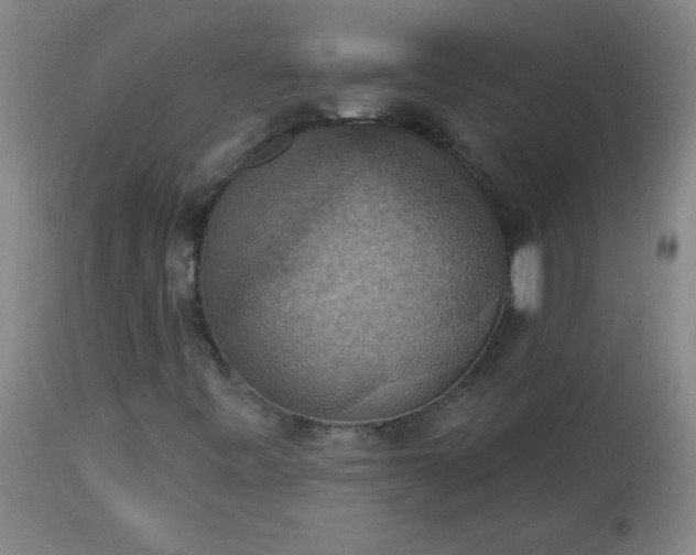 X0000113231443200909241512