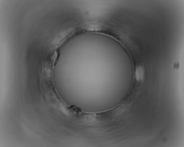 X0000113231444200909241512