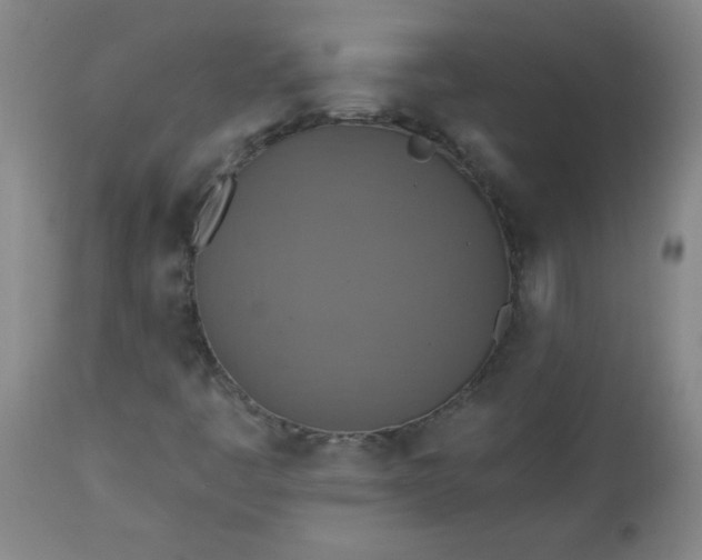 X0000113231445200909241512