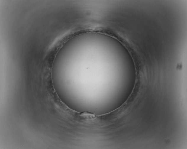 X0000113231447200909241512