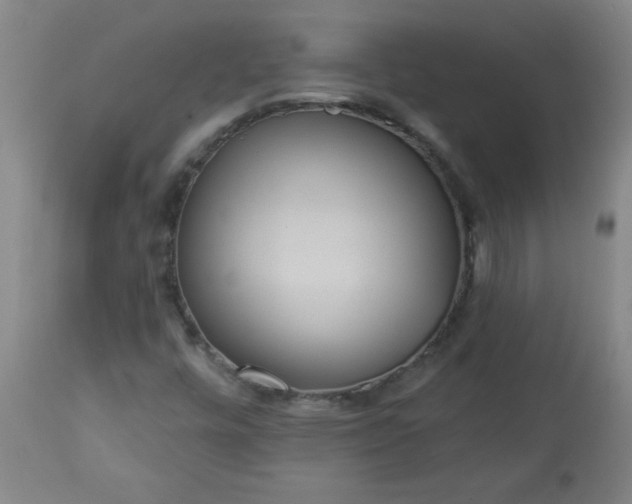 X0000113231448200909241512